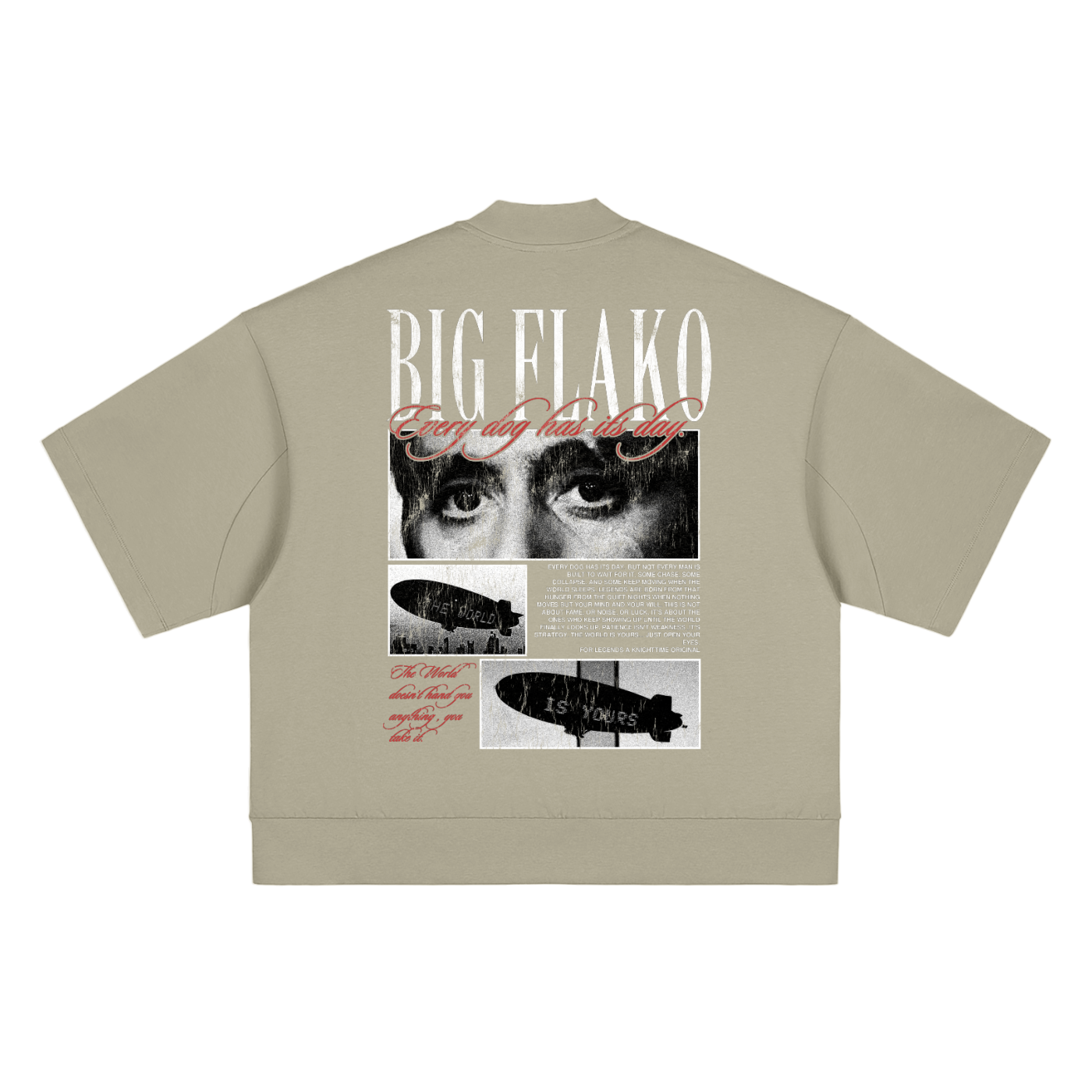 The Eyes, Chico Heavyweight Oversized Mock Neck Tee - Every Dog Has Its Day Collection