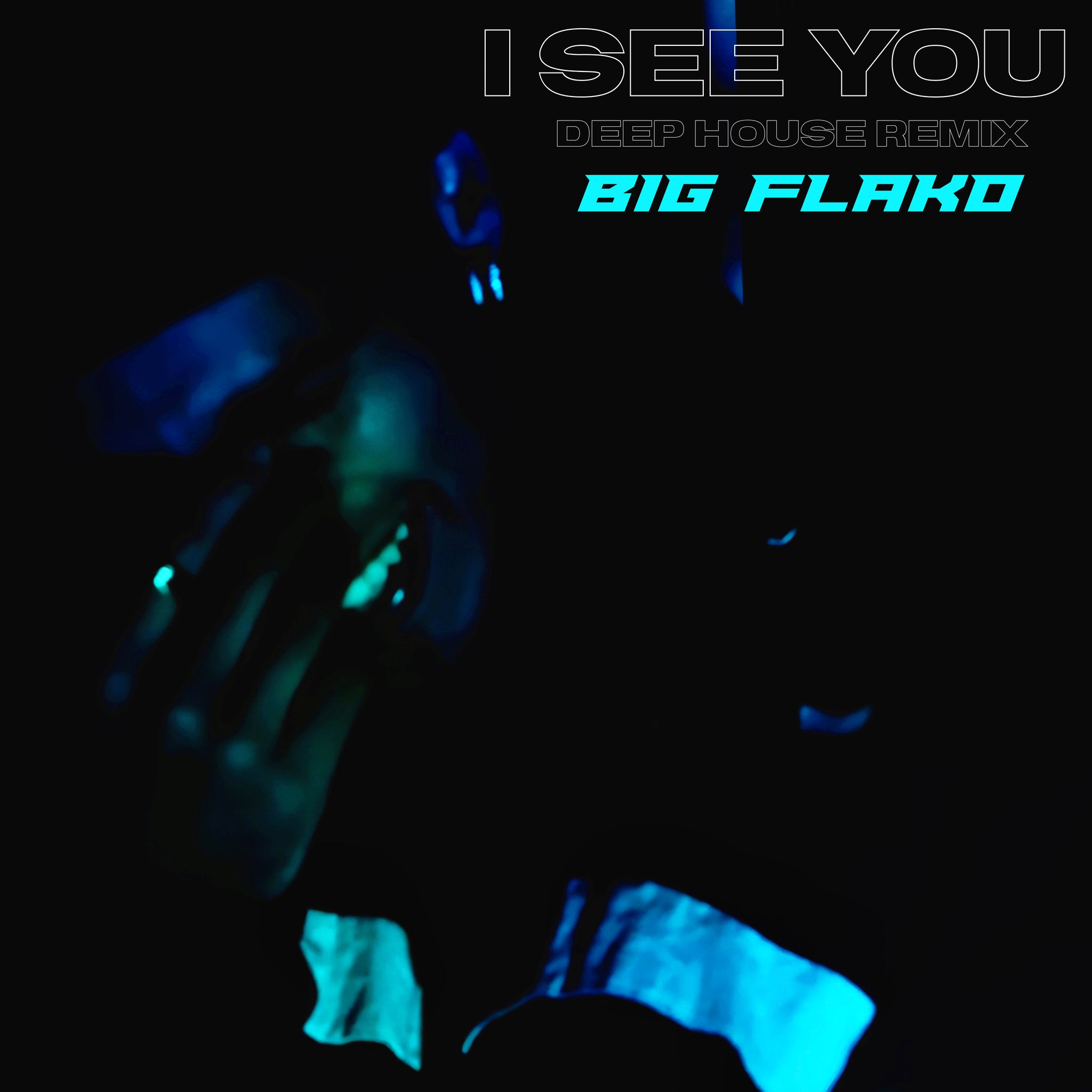 I See You Deep House Remix by BIG FLAKO